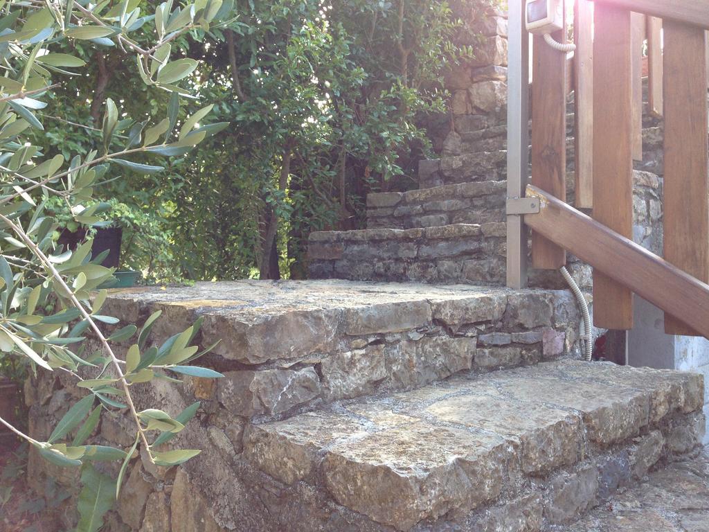 Agriturismo "La Rosa Canina" Bed & Breakfast Lerici Ngoại thất bức ảnh
