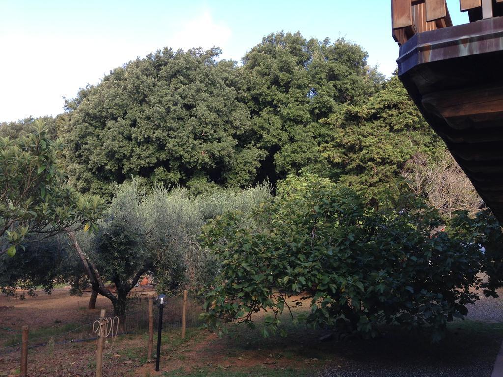 Agriturismo "La Rosa Canina" Bed & Breakfast Lerici Ngoại thất bức ảnh
